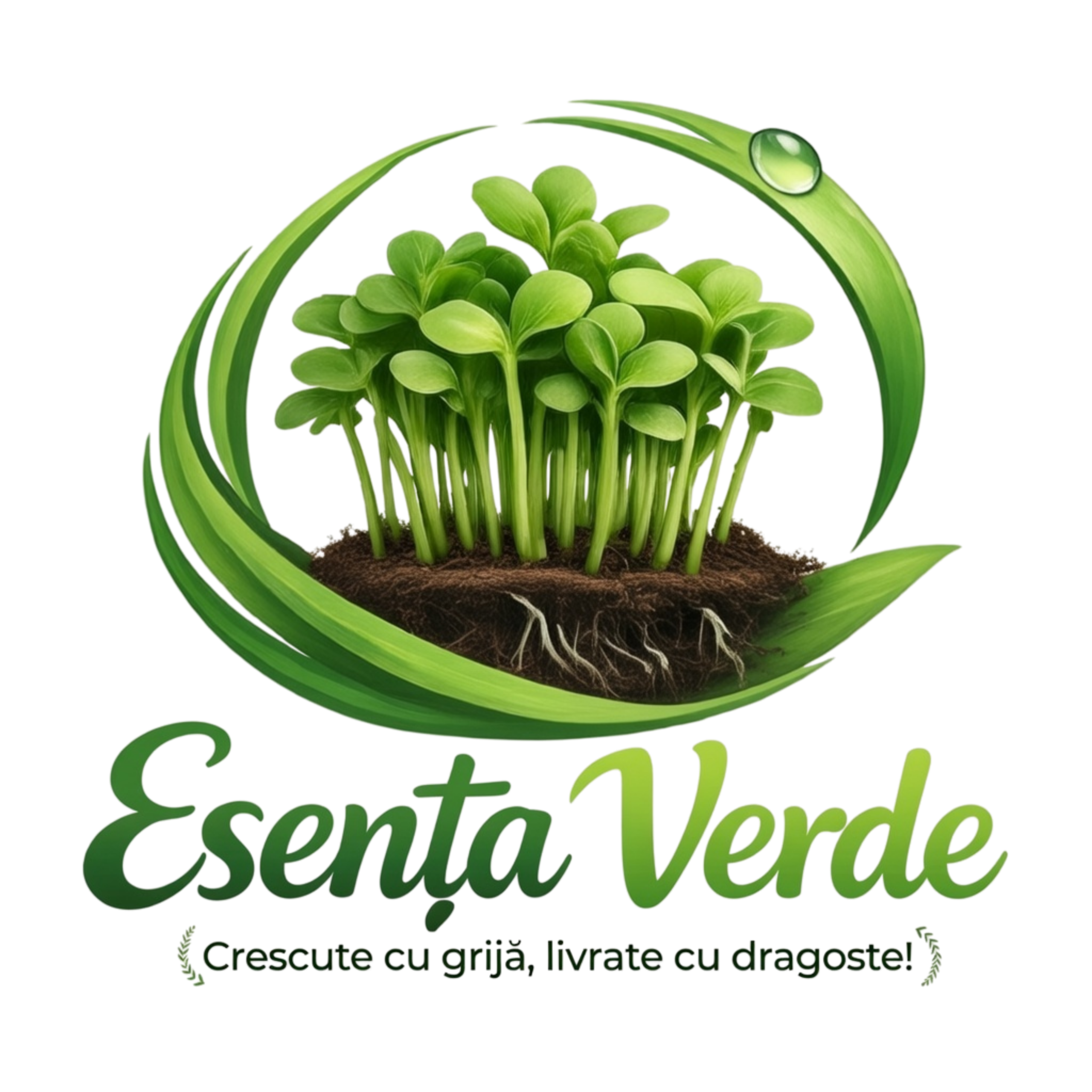 ESENȚA VERDE